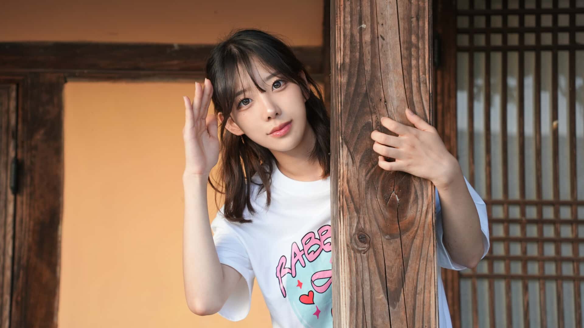 视觉数据6