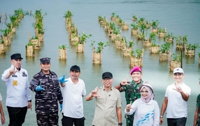 
					Pemprov Lampung Tanam 2.000 Mangrove dan Pasang Approstrap di Pesawaran